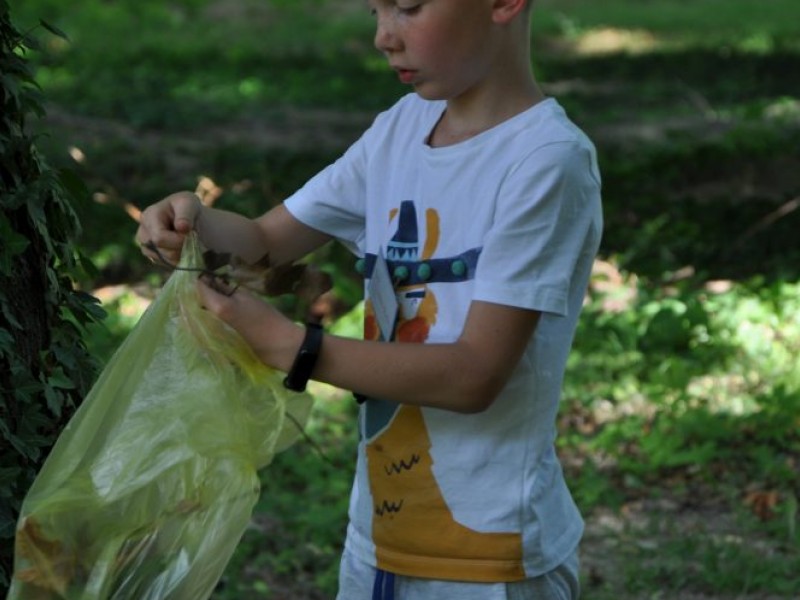 A Művésztábor első napja