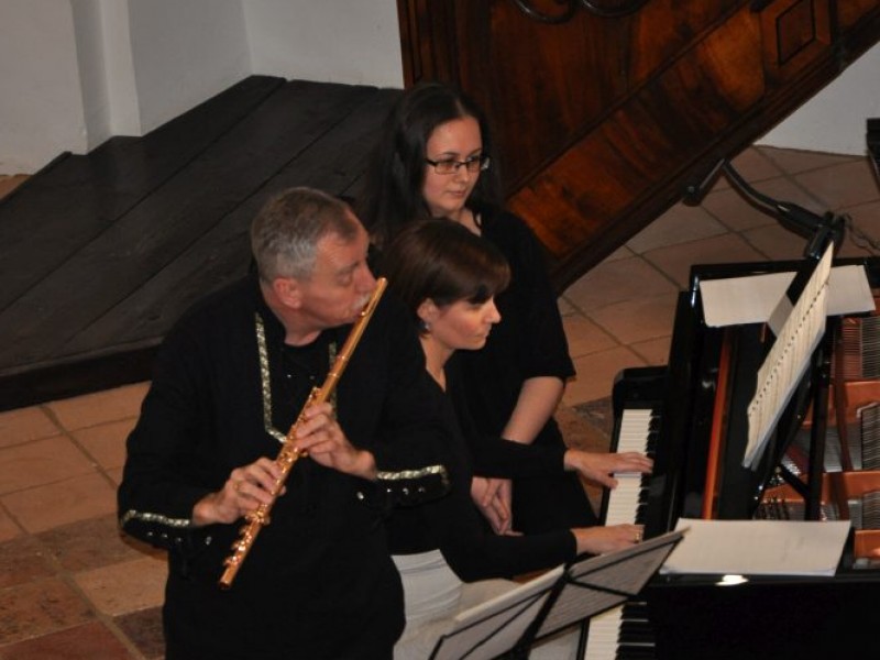 Musica Pannonica Reformata